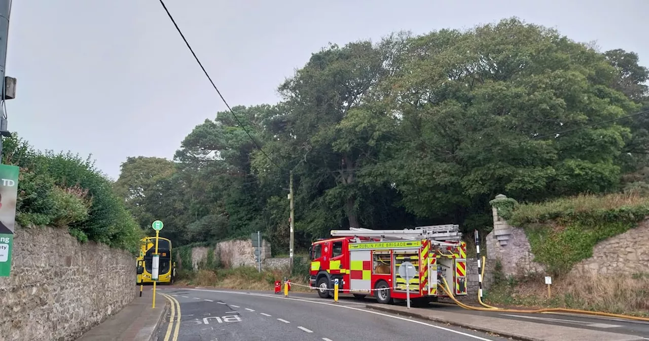 Dublin Fire Brigade responds to gorse fire in Killiney