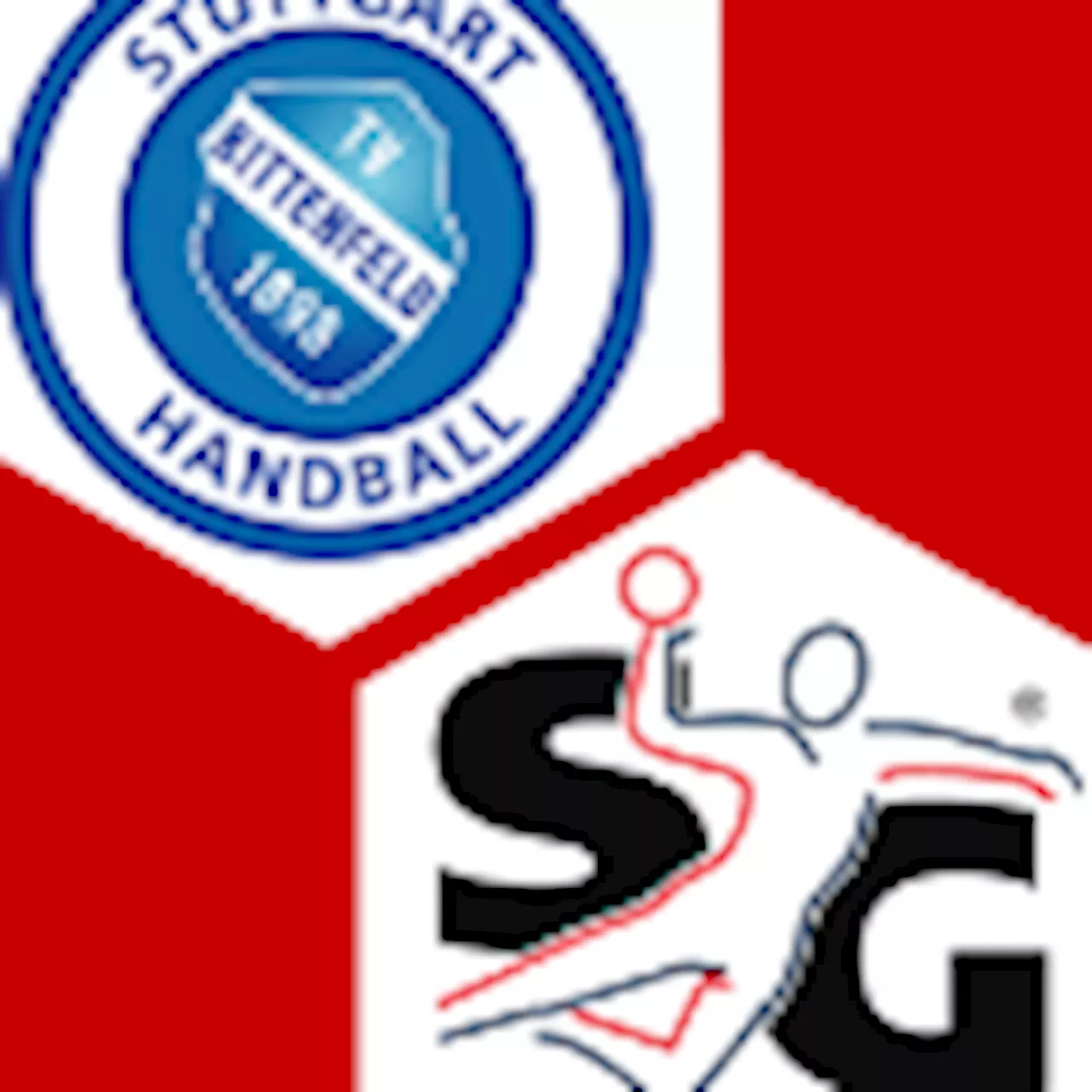 TVB 1898 Stuttgart - SG Flensburg-Handewitt : | 2. Spieltag