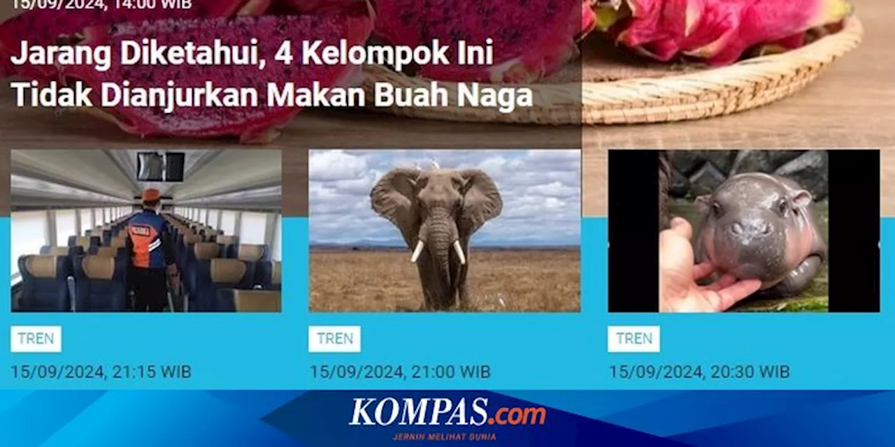 [POPULER TREN] Kelompok Tak Dianjurkan Makan Buah Naga | Wilayah Berpotensi Hujan 15-16 September 2024