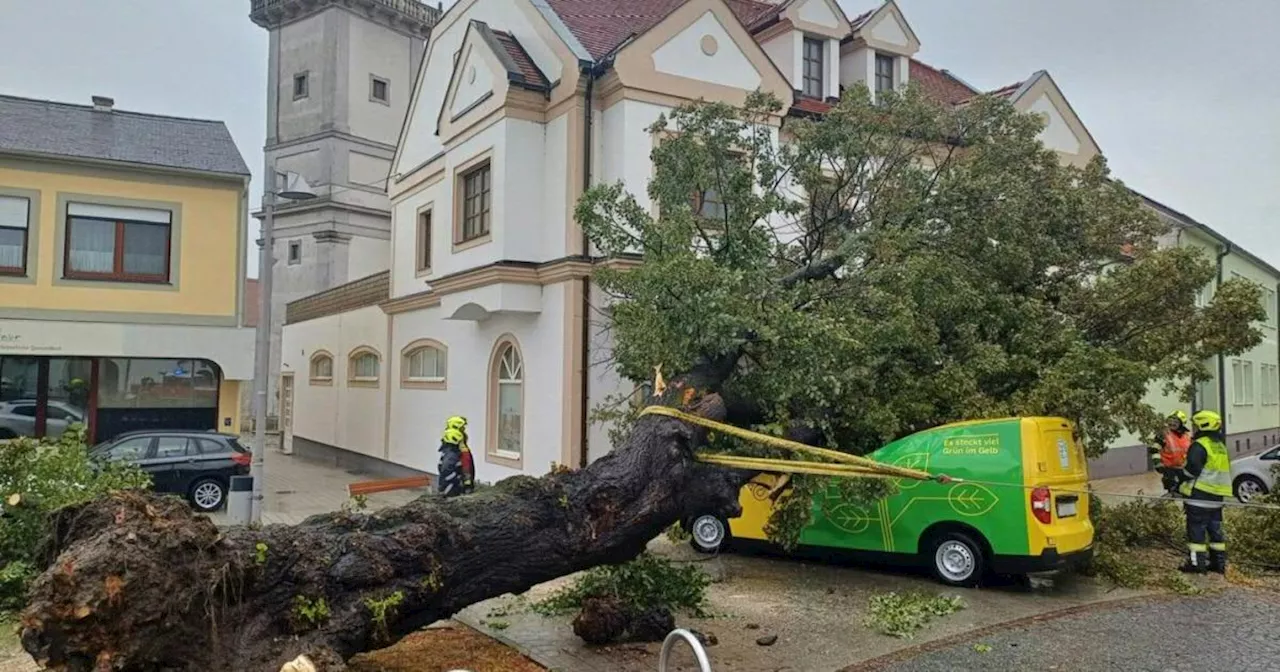 Burgenland: Entlang der Leitha drohen Überschwemmungen