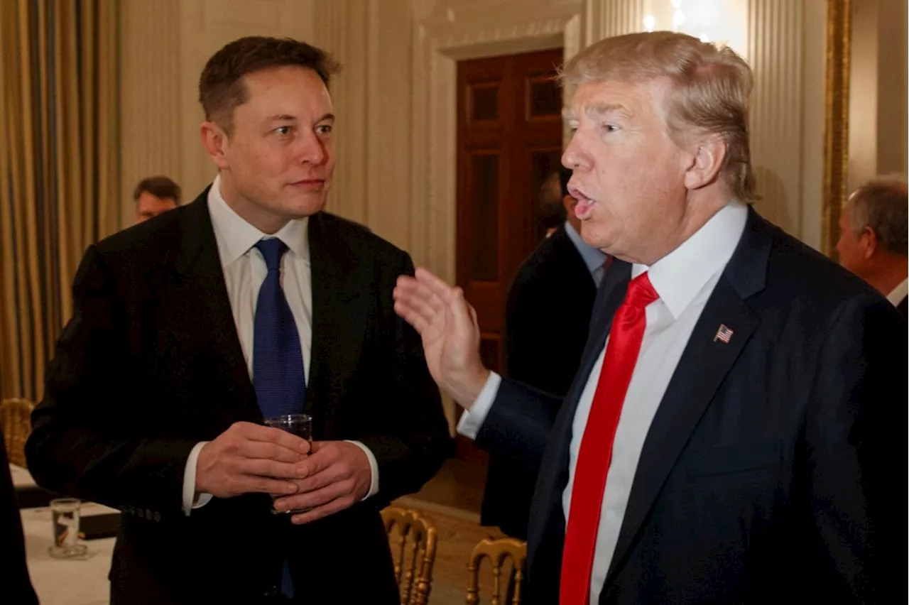 Trump’s Elon Musk government efficiency commission is actually a good idea