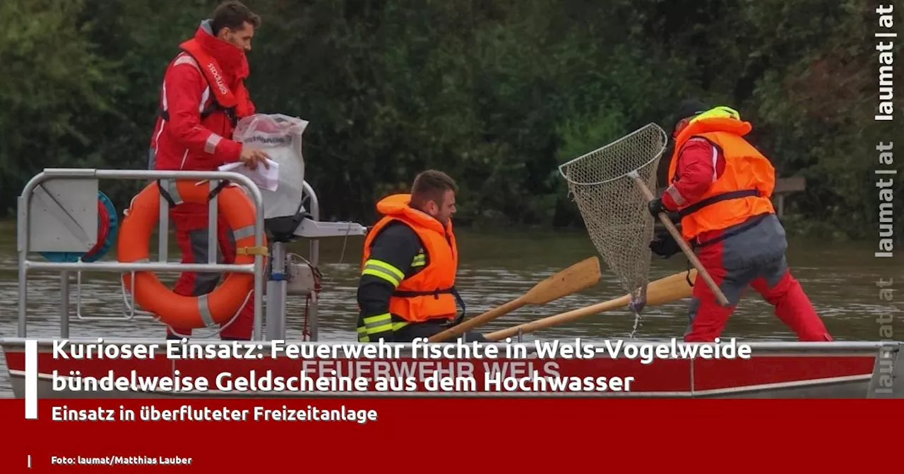 Kurioser Einsatz: Feuerwehr fischte in Wels-Vogelweide bündelweise Geldscheine aus dem Hochwasser