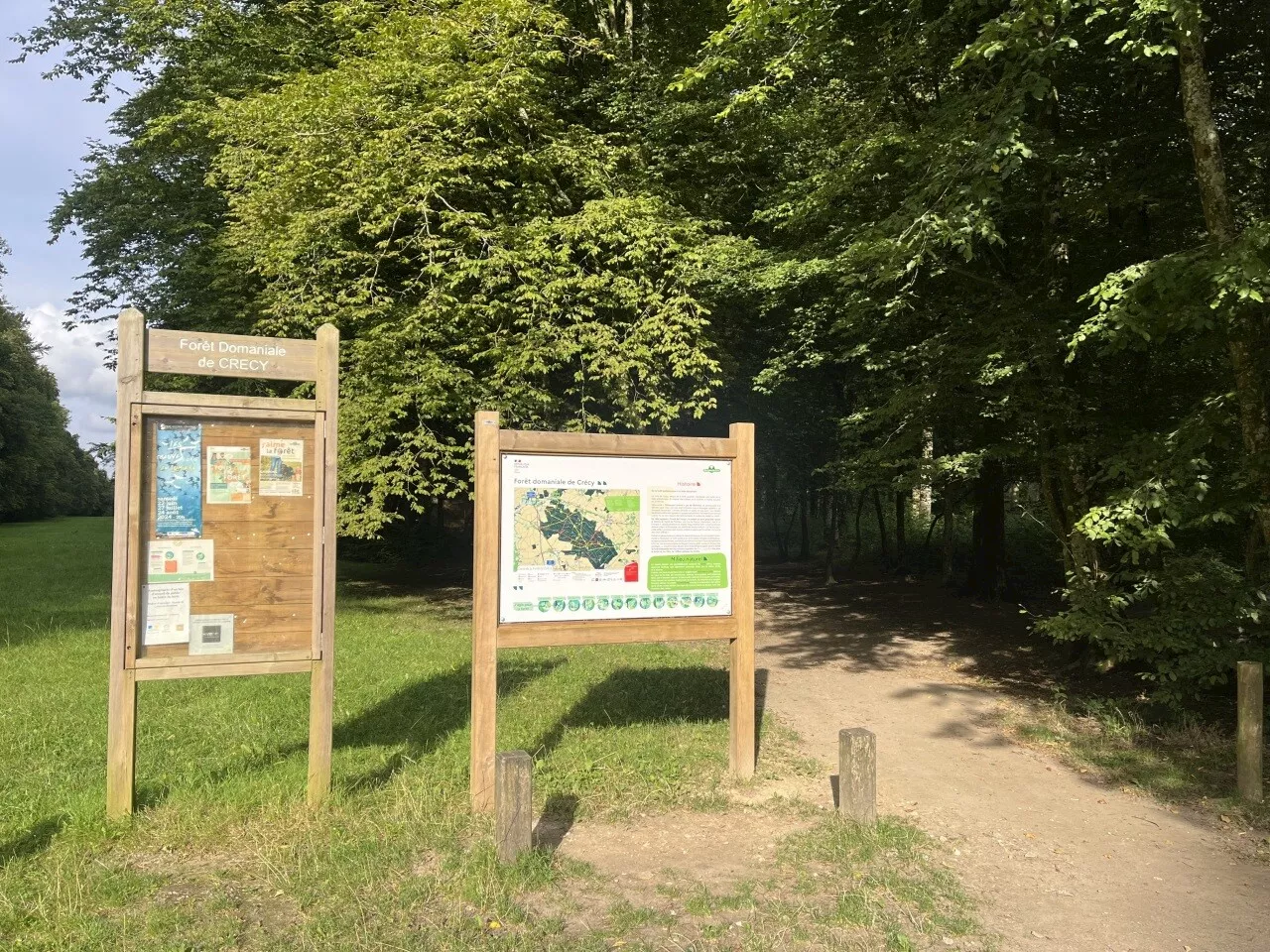 Crécy-en-Ponthieu : Quatre sites de randonnée en forêt à faire cet automne