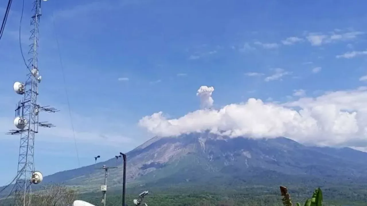 Gunung Semeru Erupsi Lagi, Tinggi Kolom Letusan 700 Meter