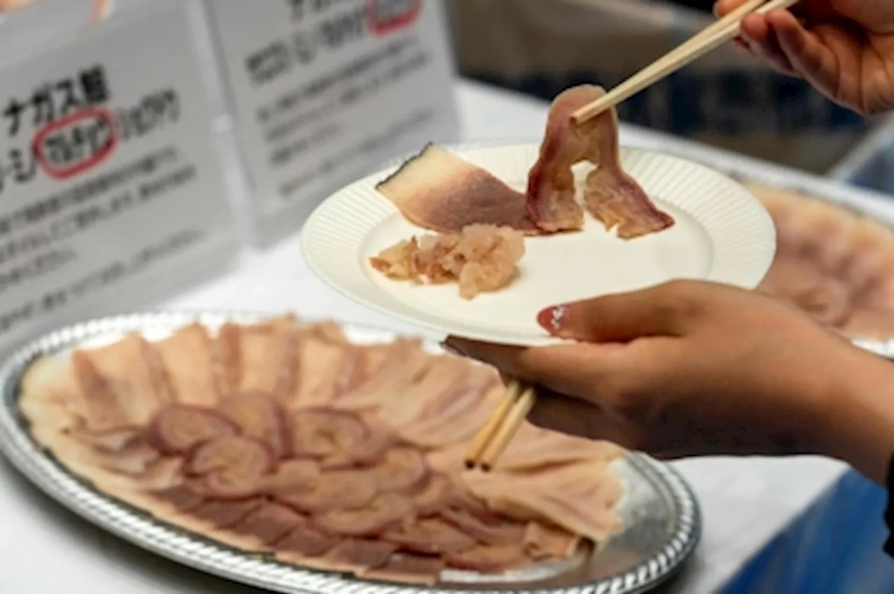 Whale on the menu: Japan rekindles appetite with fin whale tasting event