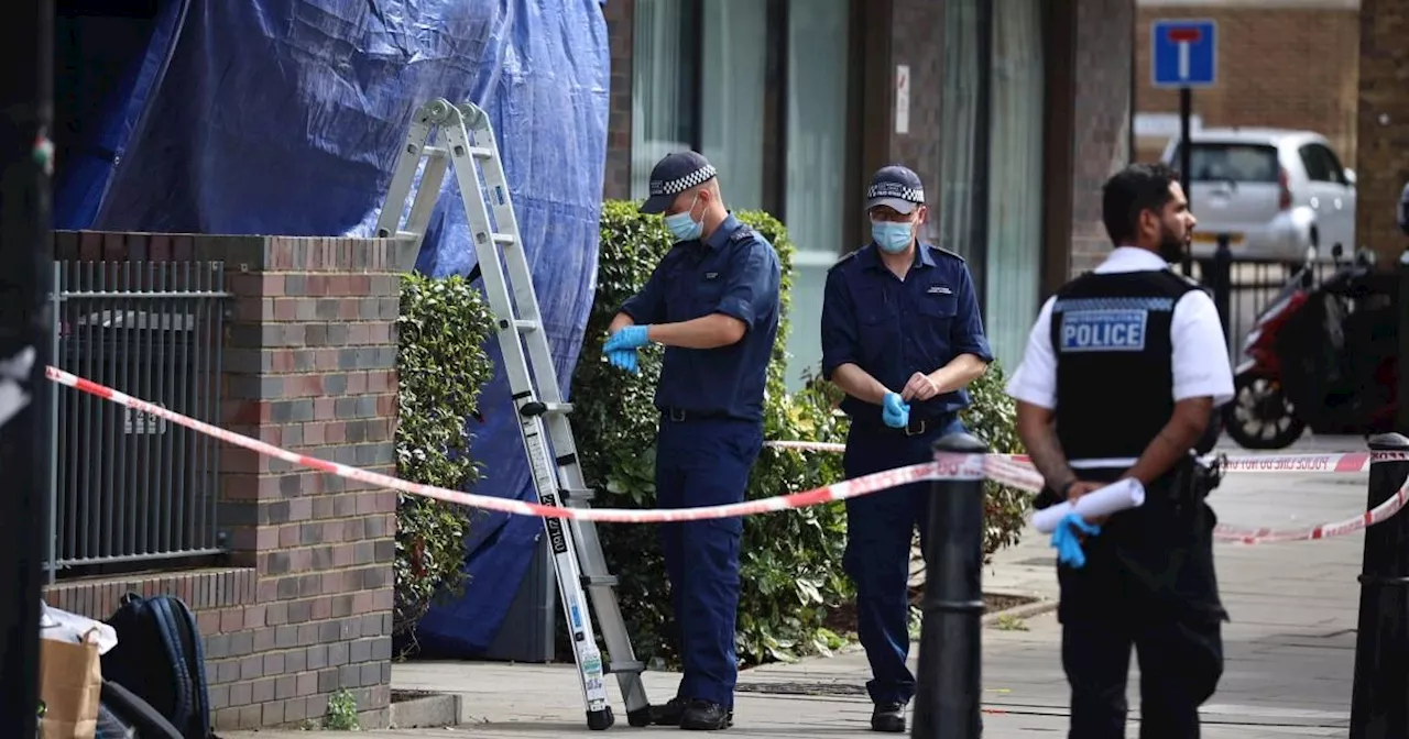 Woman in her 30s stabbed to death in east London flat