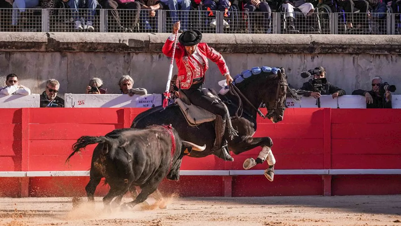 Feria des Vendanges de Nîmes : une oreille pour Mendoza et Ortega dans un final sans saveur.