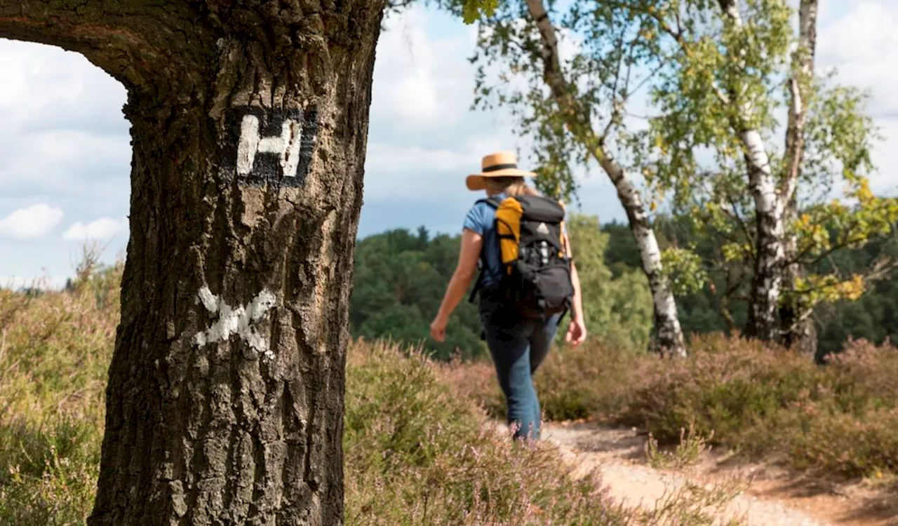 Beliebteste Wanderwege Deutschlands: Einer führt durch Hamburg