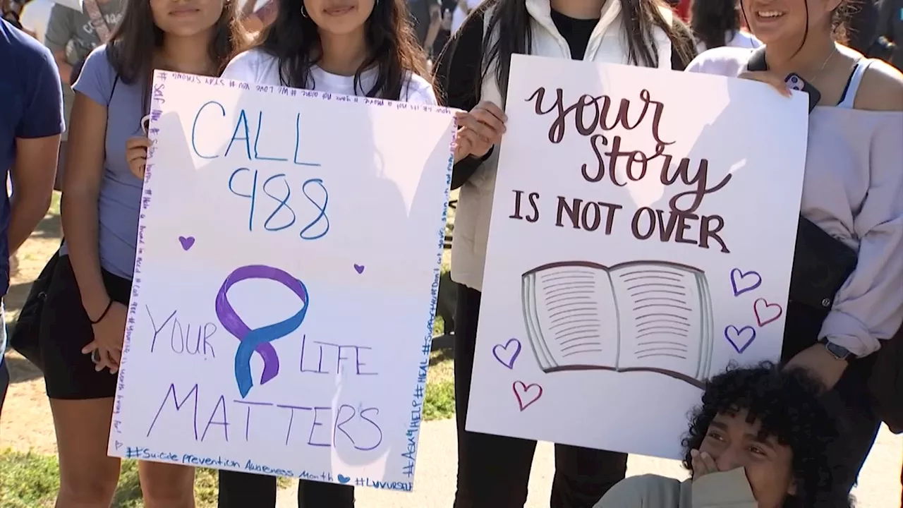 Thousands march in annual ‘Out of the Darkness' walk