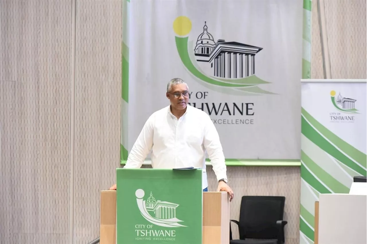 Tshwane's Mr Fixit, Johann Mettler, urges stability so 'green shoots' can grow