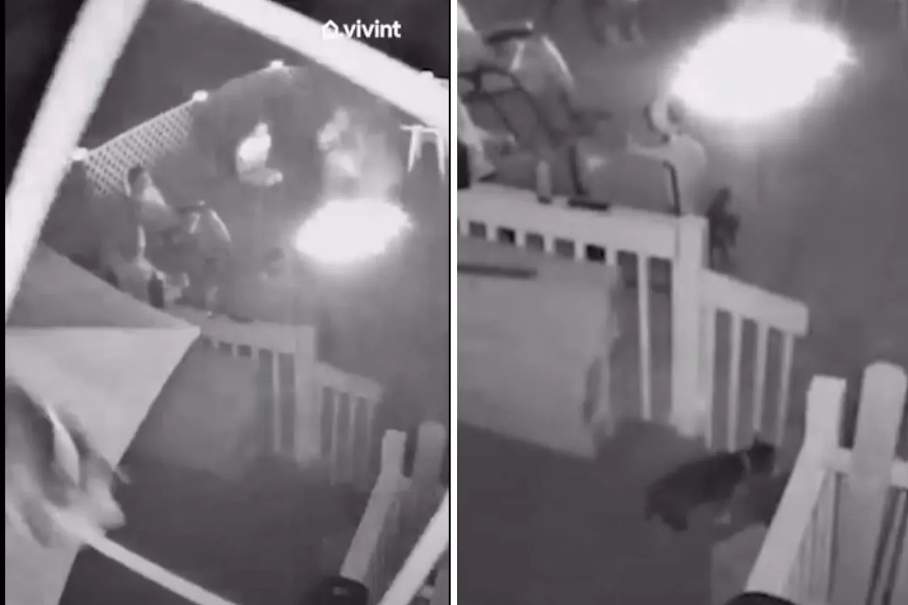 Dog Jumps Out Second-Story Window To Join Bonfire Party