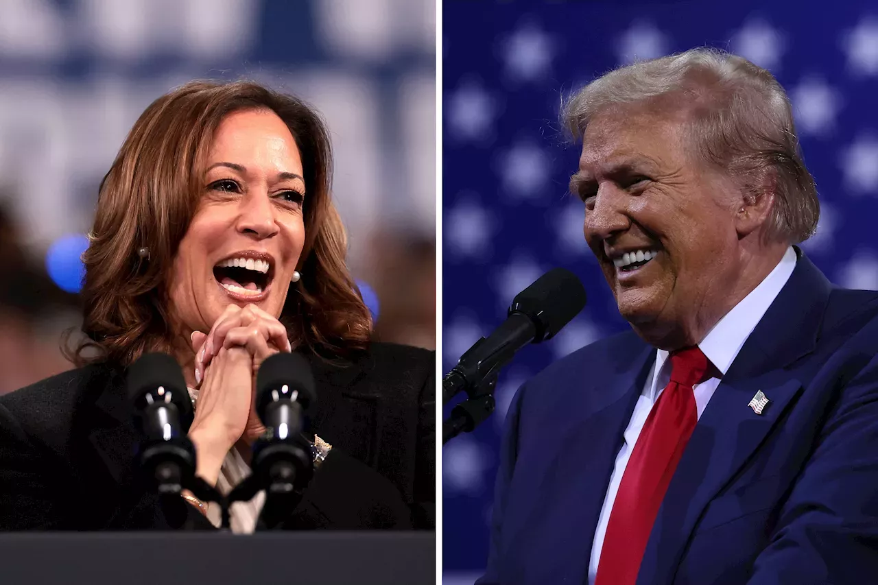 Kamala Harris Within Striking Distance of Donald Trump in Iowa—New Poll