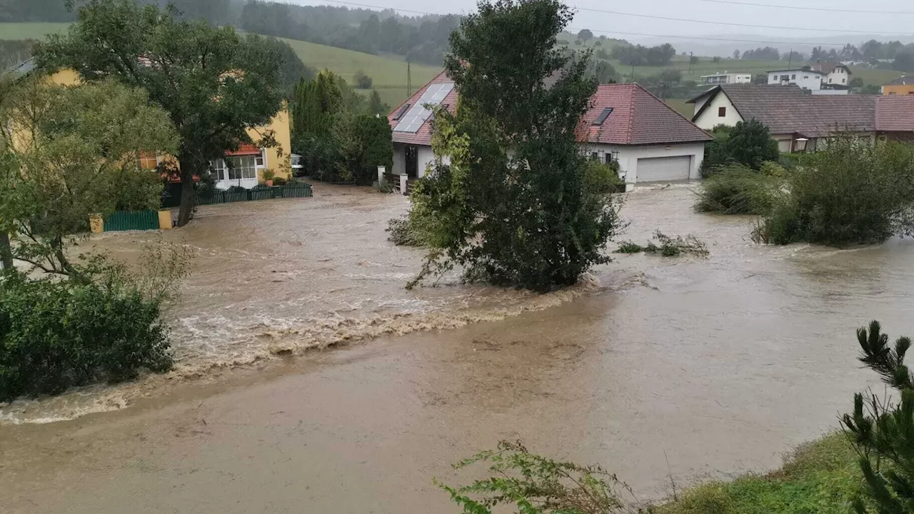 Bezirk Mödling ist Katastrophengebiet - Dramatische Lage im Wienerwald