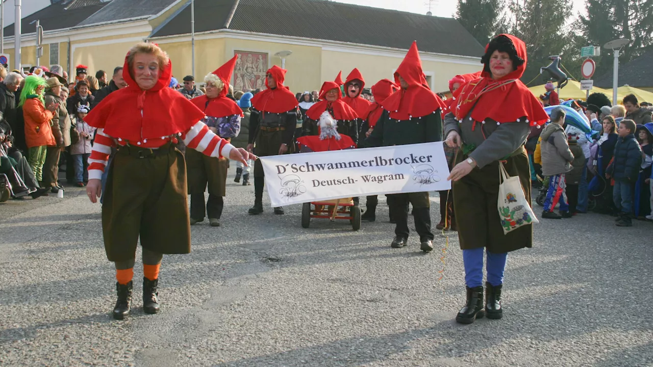 Deutsch-Wagramer Verein löste sich nach 48 Jahren auf