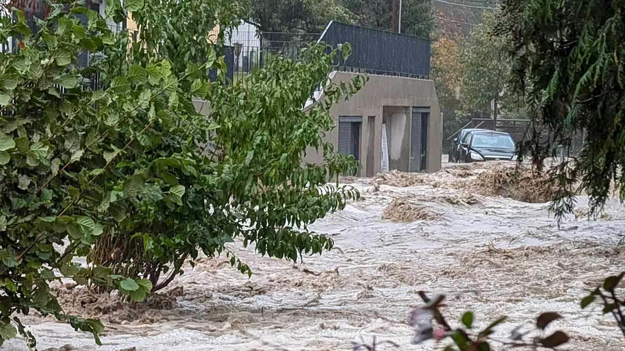 Hochwasser in Klosterneuburg: Große Schäden, Einsatz aller Kräfte