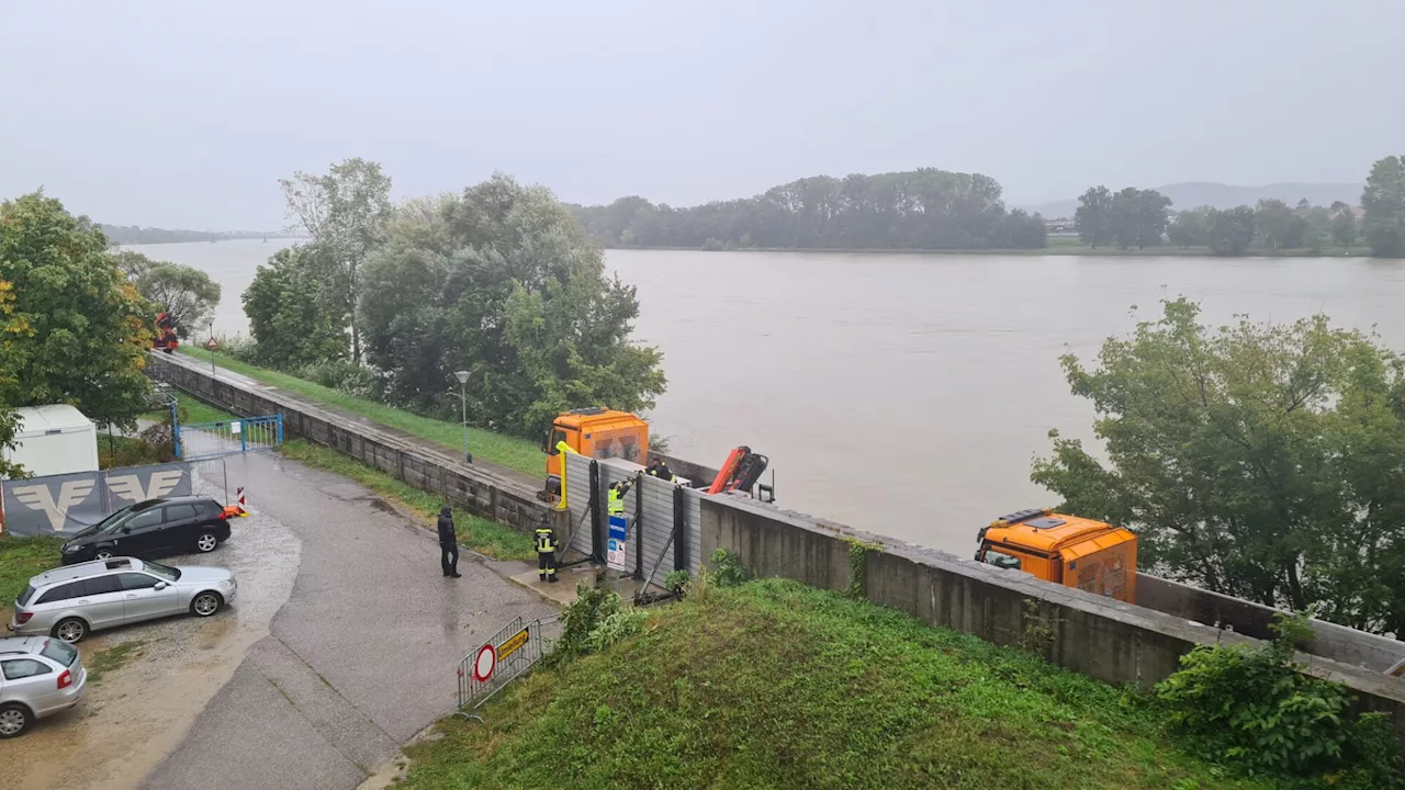 Hochwasserschutz wird jetzt auch in Krems-Stein aufgebaut