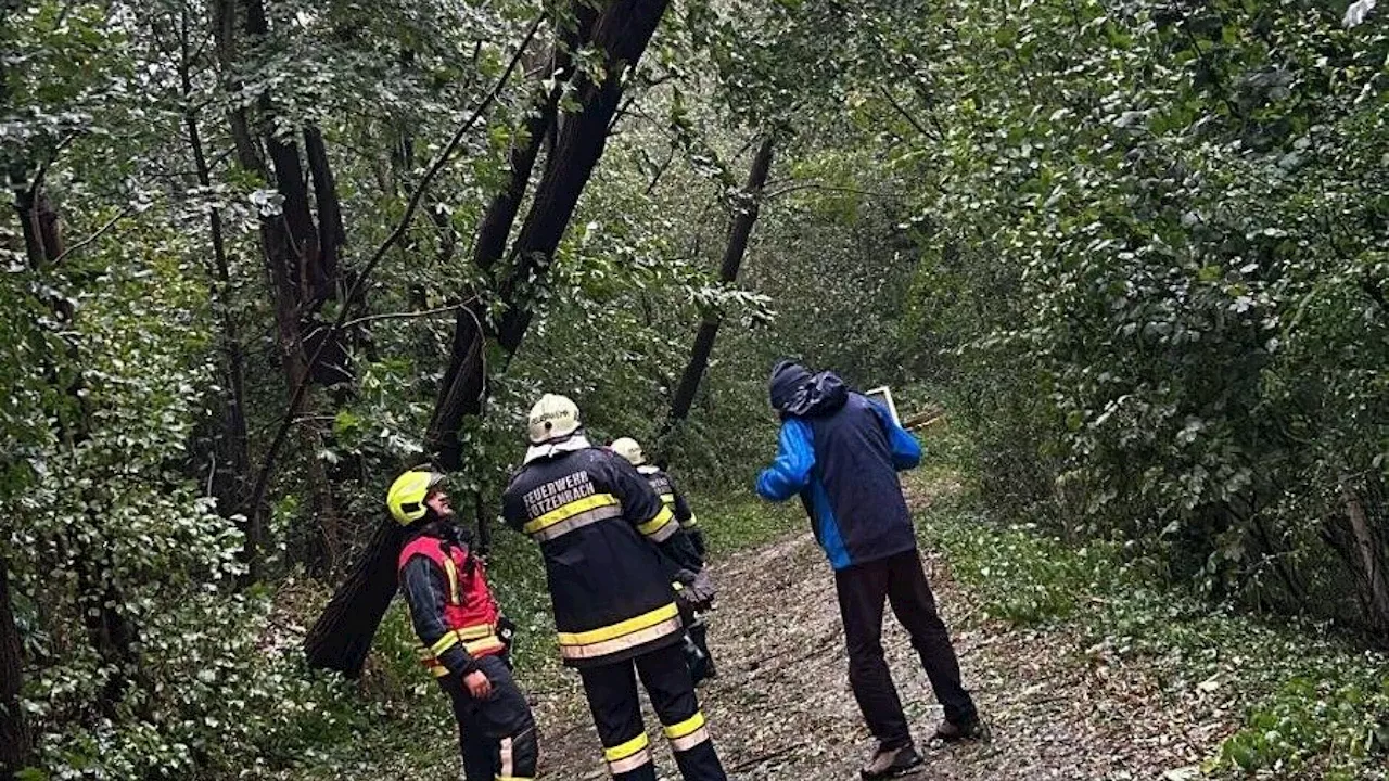 Kirchstetten: Hangrutschungen und Wasser in neuer Schule