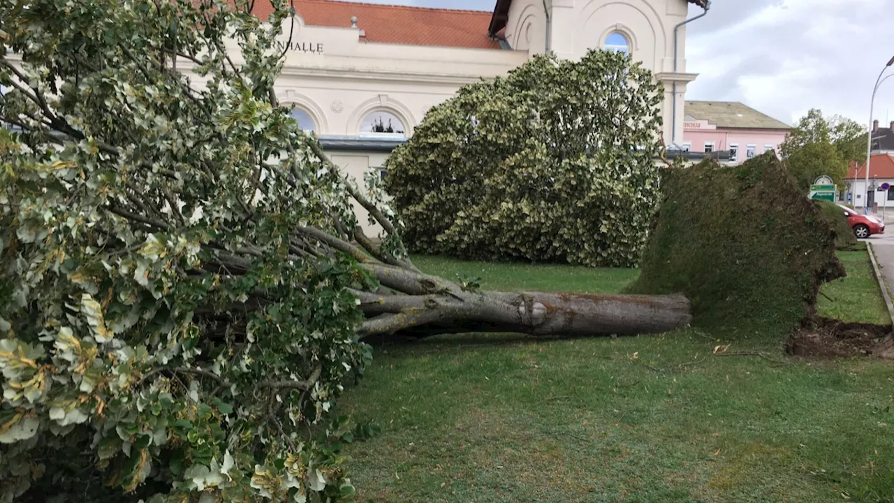 Lage im Bezirk Neunkirchen bleibt weiterhin angespannt