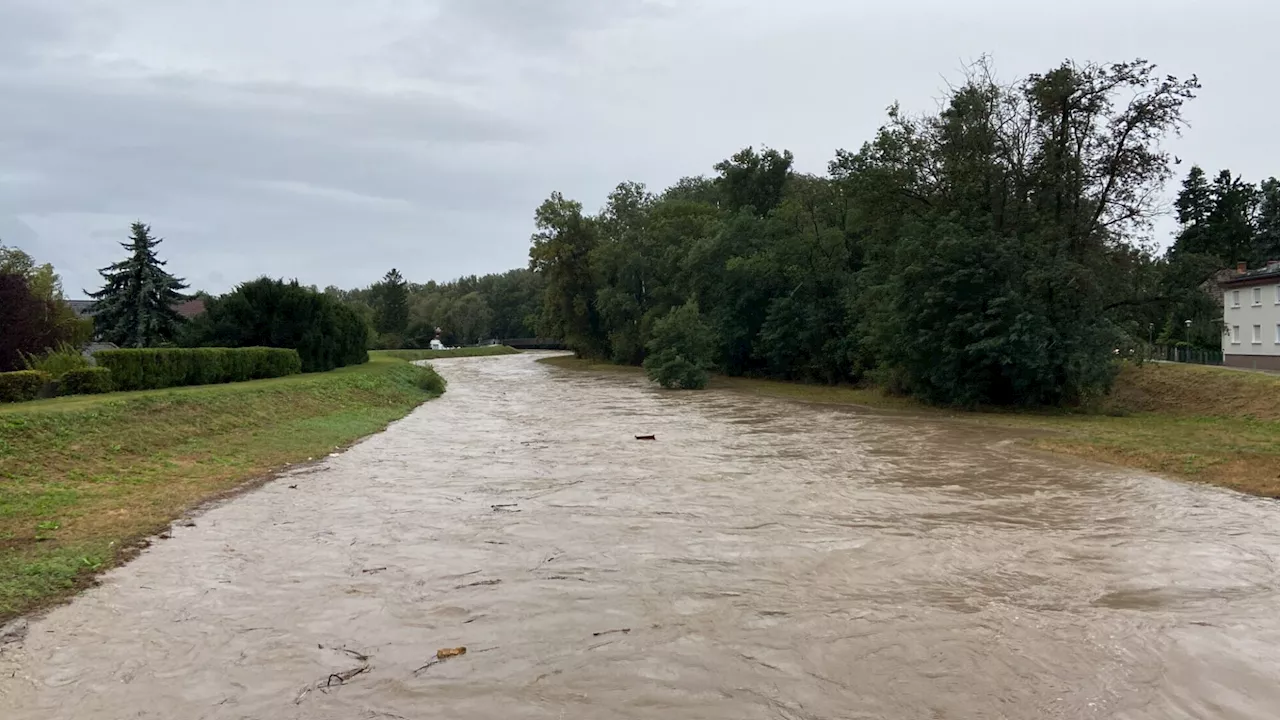 Leithabrücken in Lichtenwörth und Zillingdorf gesperrt