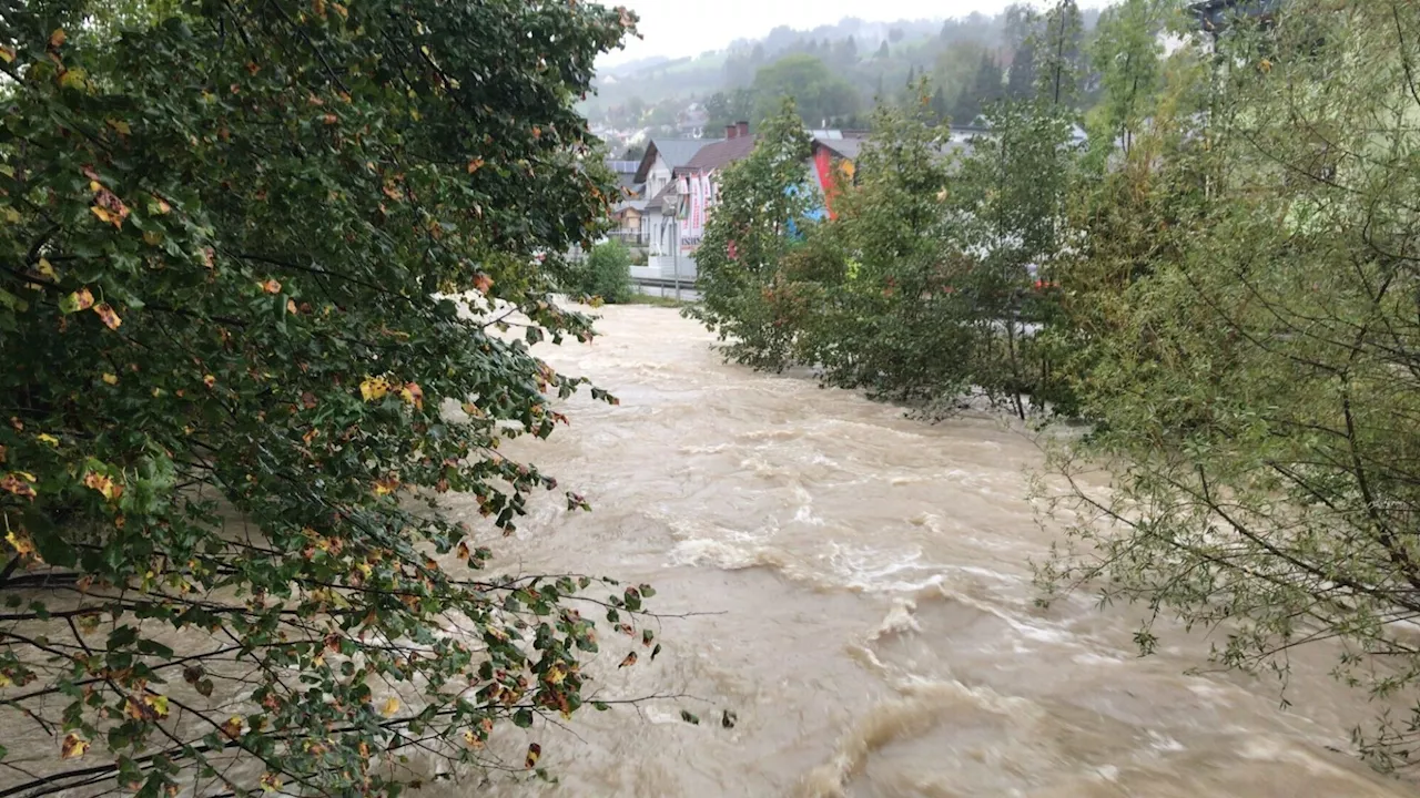 Schwarze Ois in Ybbsitz droht über Ufer zu treten