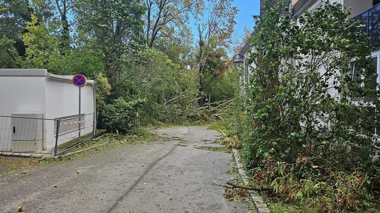 Über 100 Einsätze in Neunkirchen: Stadtpark gleicht einem Schlachtfeld