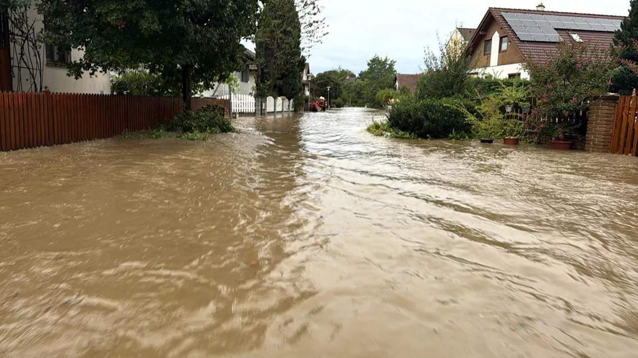 Überflutungen in Stockerau: Katastrophenschutz im Einsatz