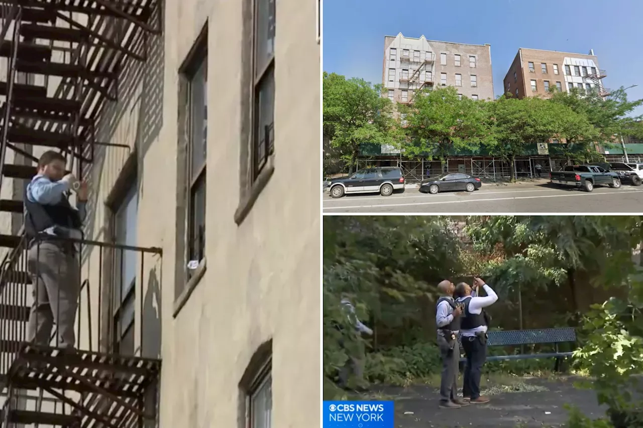 10-year-old NYC girl dies after falling from window following fight with mom: report