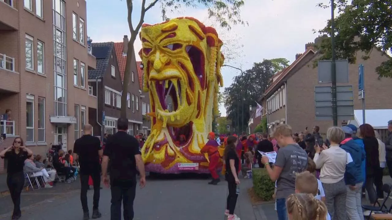 Corso fleurt straten van Valkenswaard op: 'Ik ben een bloemenmens'