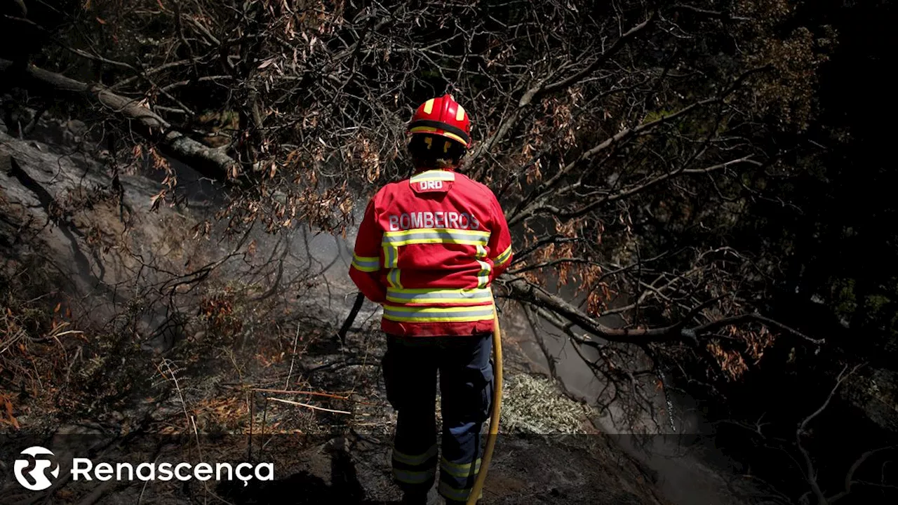 Fogos em Sever do Vouga e Serra da Estrela em fase de resolução