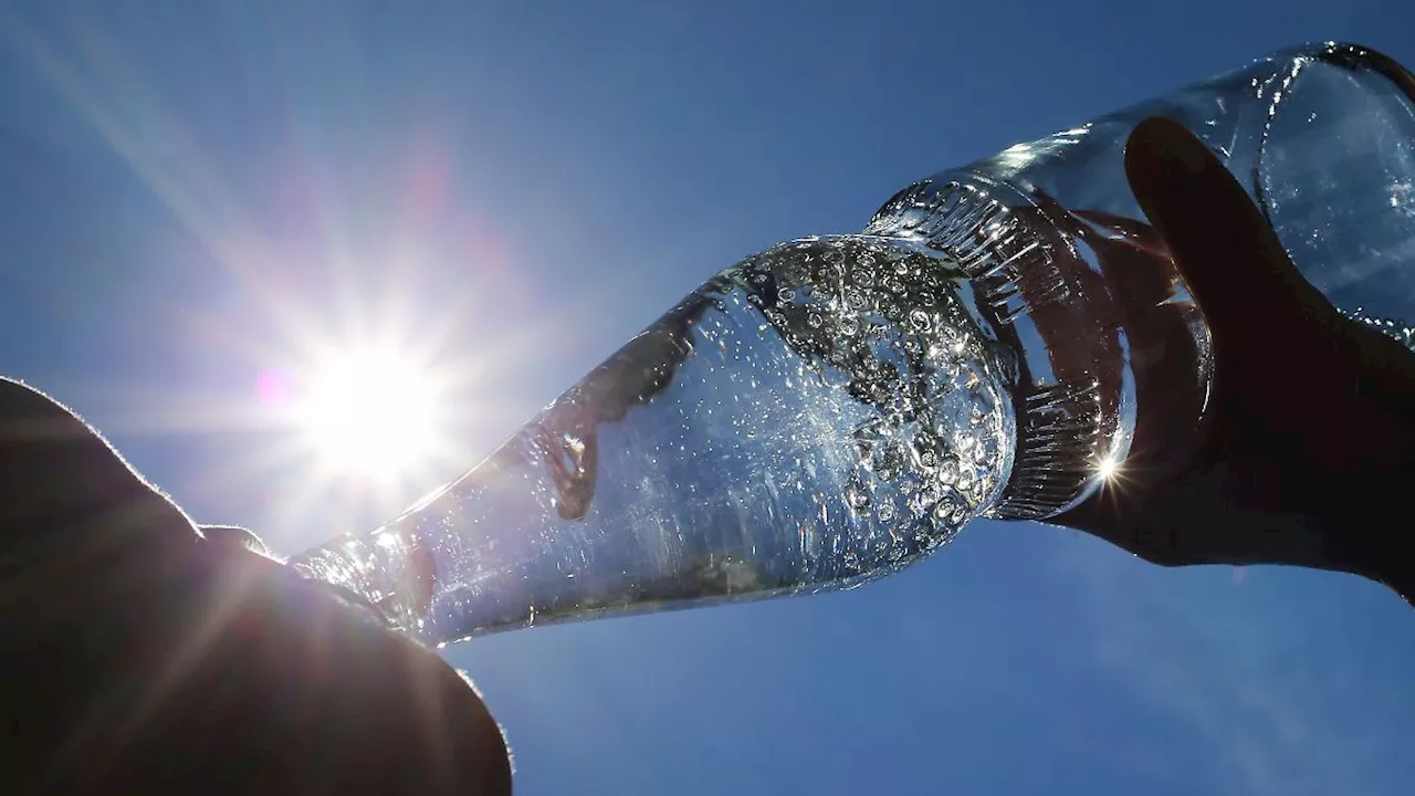 Großer Mineralwasser-Rückruf bei Rewe, Penny und Norma: Was ihr wissen solltet