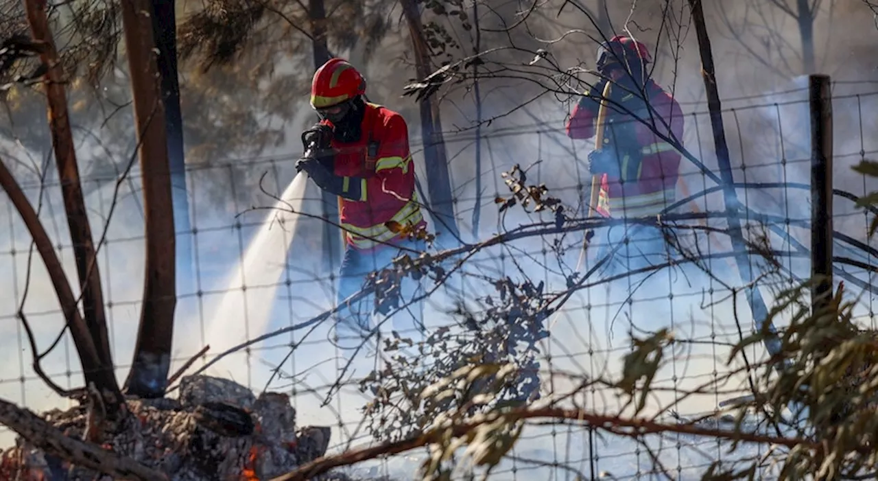 Fogos em Sever do Vouga e Serra da Estrela em fase de resolução