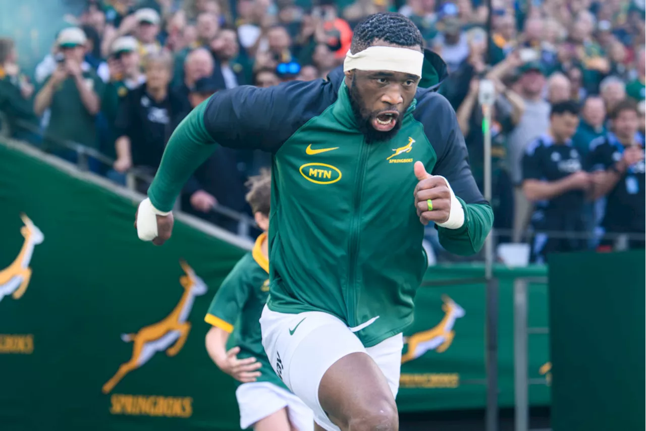 Kolisi deserves his face on Table Mountain