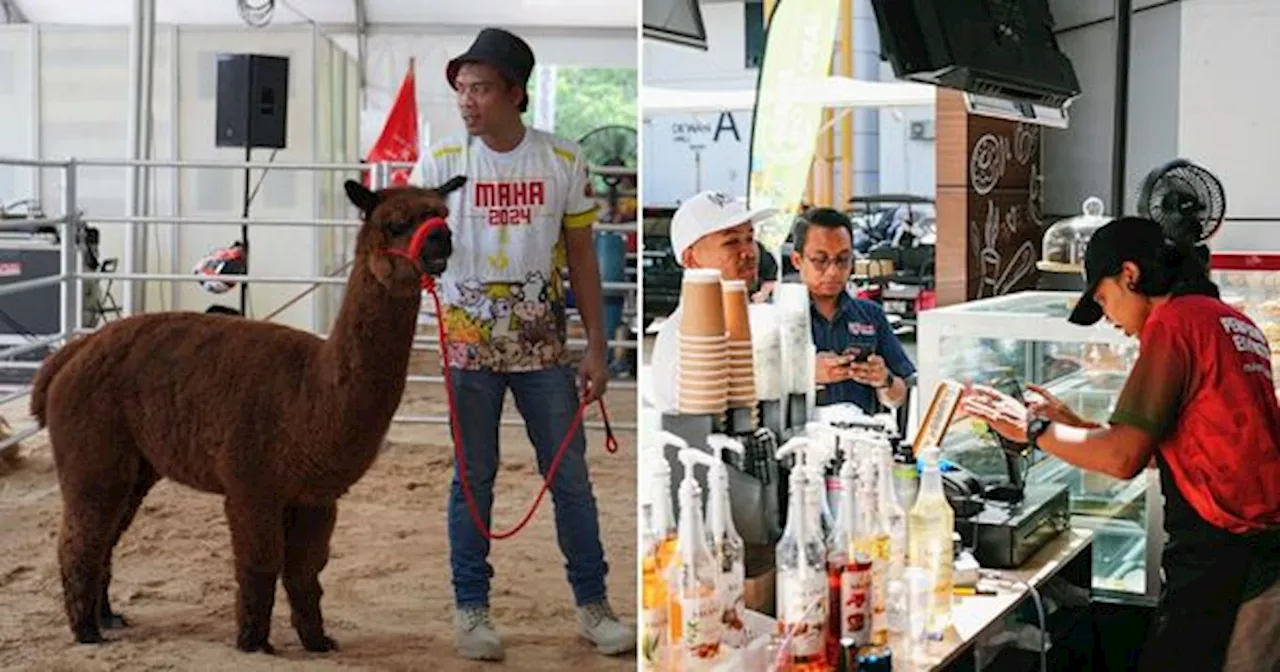 From Cute Animal Parks To Food Trucks, There's Lots To Do With Your Family At MAHA 2024