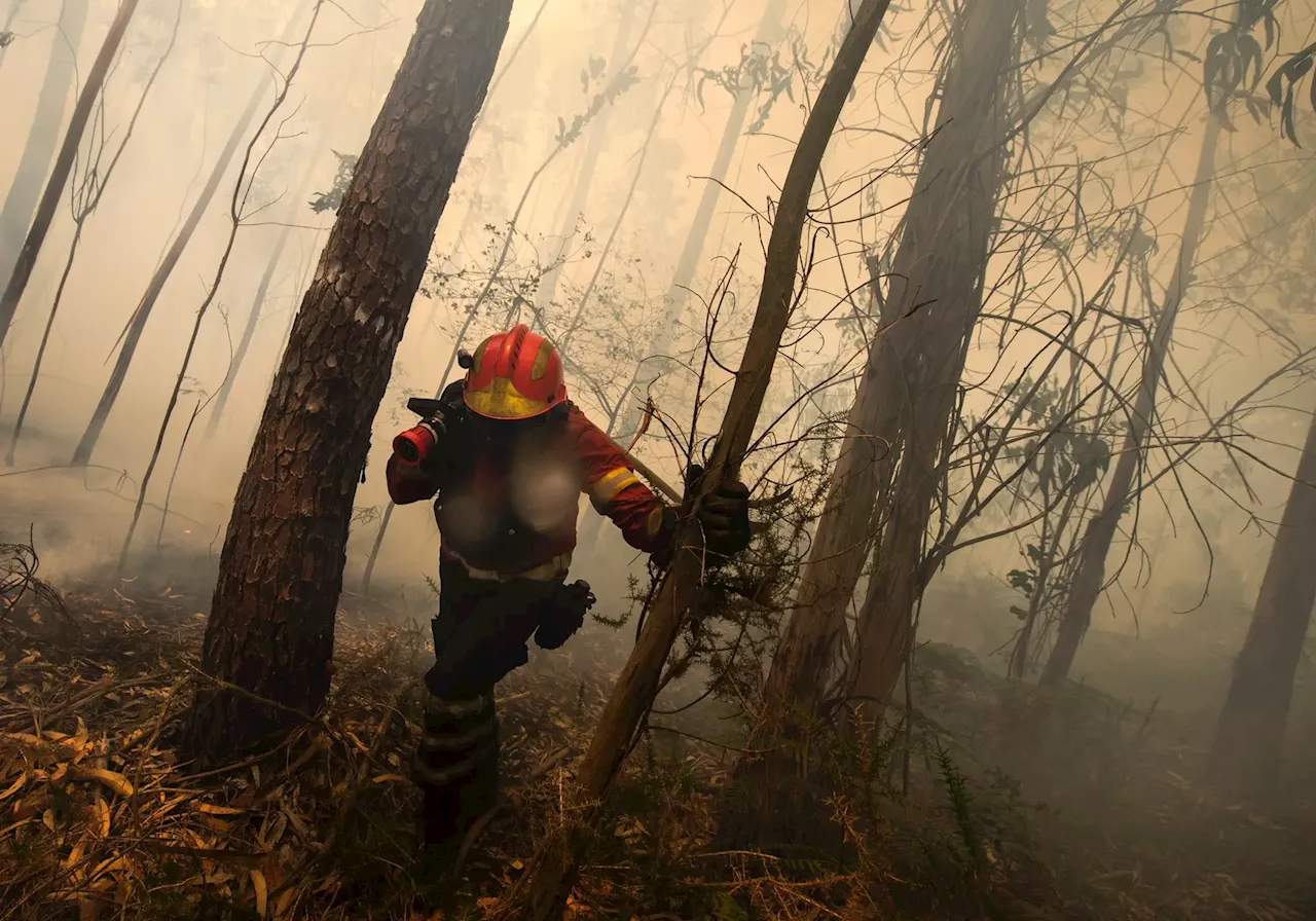 Incêndios em Fafe e Aveiro combatidos por mais de 200 operacionais e dois meios aéreos