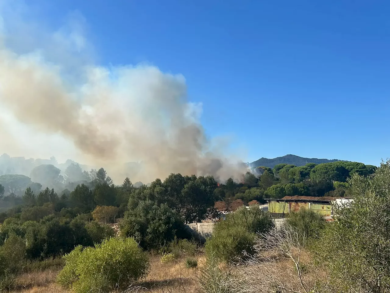 Situação de alerta em Portugal: incêndios ativos em vários pontos do país