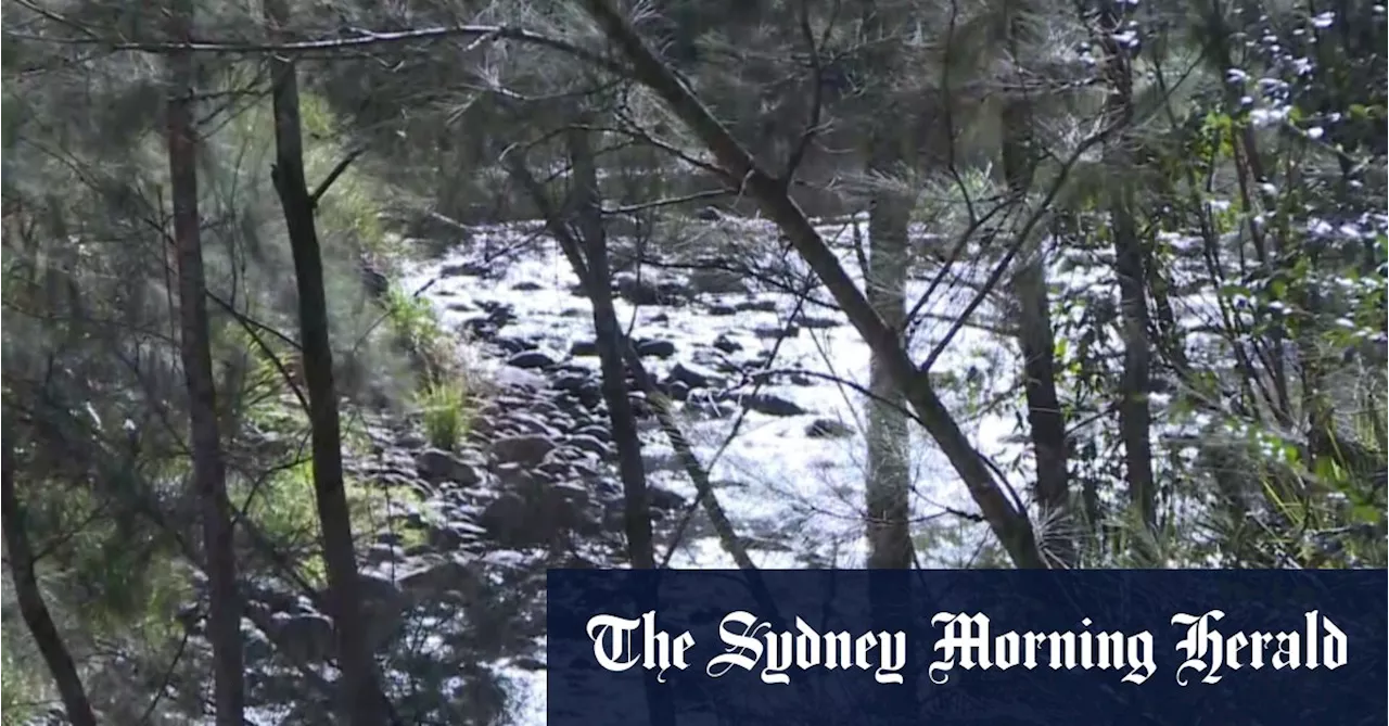 Two dead after SUV crashes into creek near NSW-Qld border