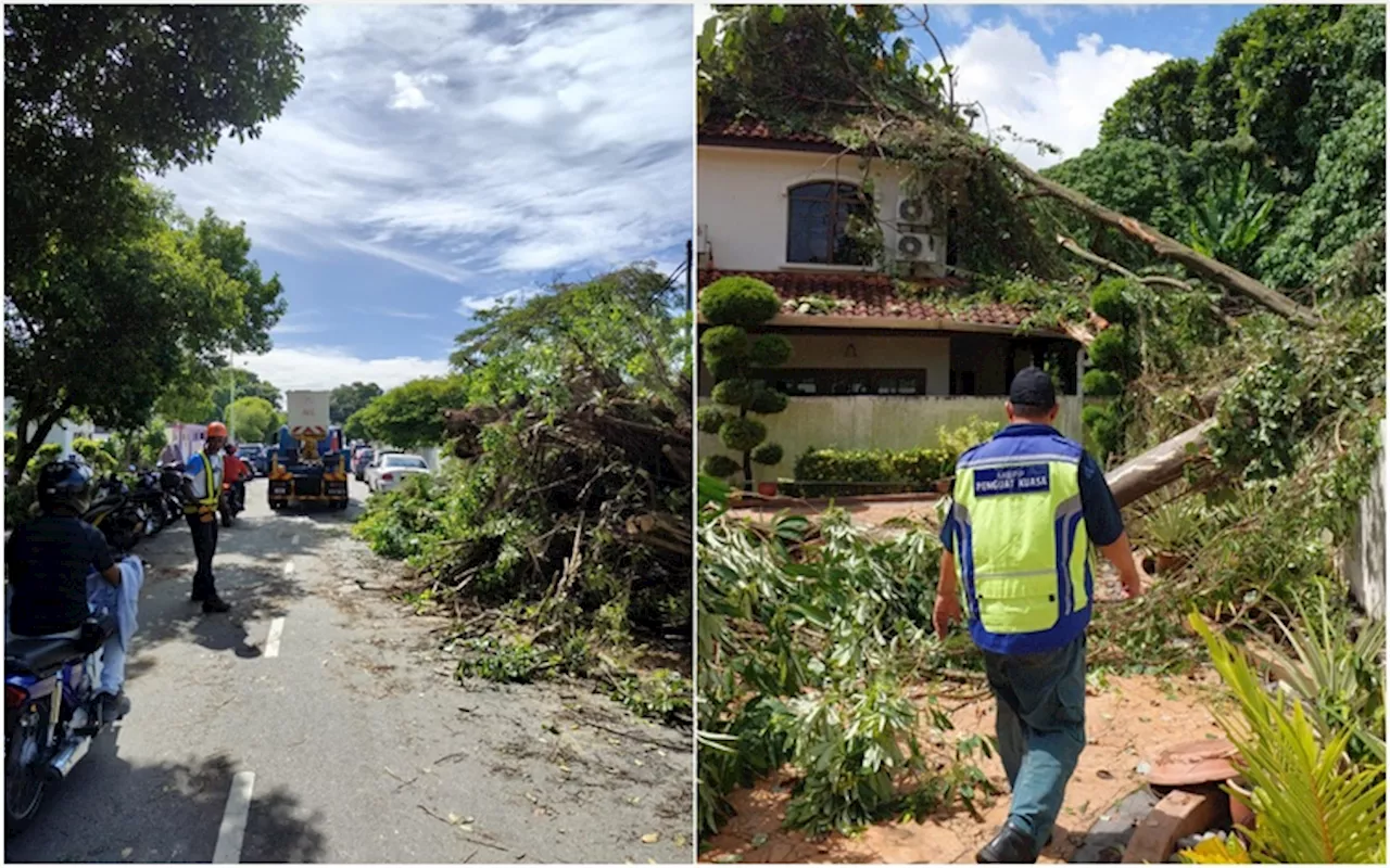 Fallen trees, branches reported at 20 locations across Penang island after heavy rain