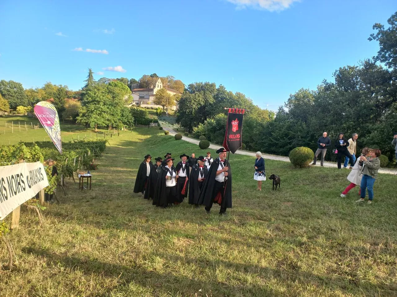 Vendanges en Brulhois : « C’est obligatoire d’avoir confiance »