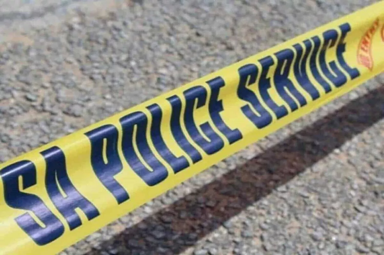 Shot at while taking a wee: Manhunt on after fatal shooting