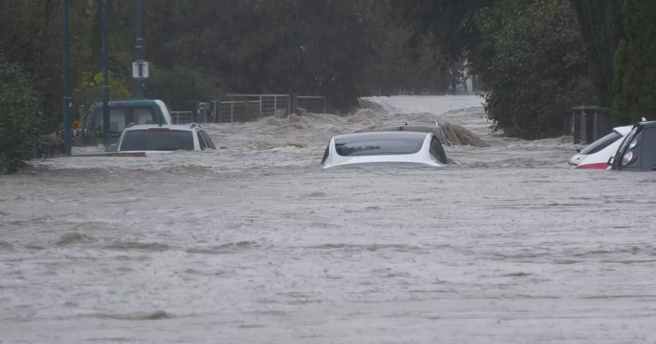 Hochwasser im Nordosten Österreichs - Fotos: APA, imago