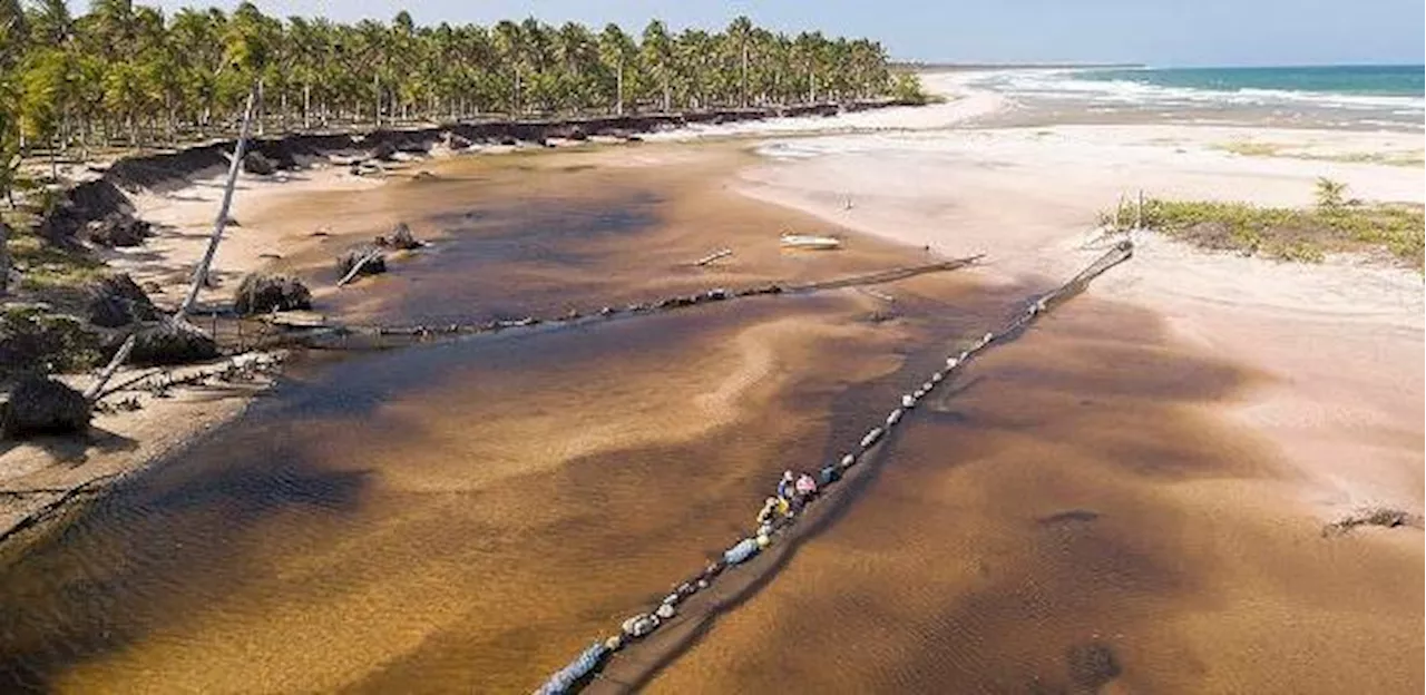 Manchas de óleo em praias no NE completam 5 anos sem denúncia e sem punidos