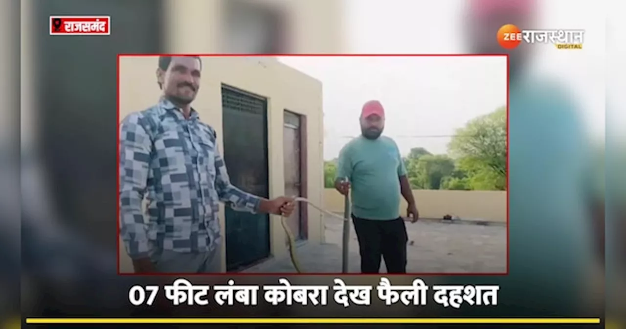 Viral Video: घर में घुसा 07 फीट लंबा कोबरा, फैली दहशत!