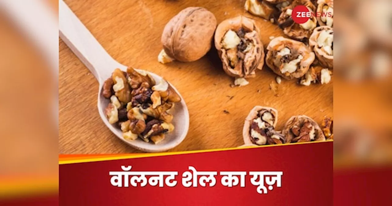 Walnut Shells: अखरोट के खोल को कचरे में फेंक देते हैं आप? इस तरह इस्तेमाल करने से होंगे बड़े फायदे