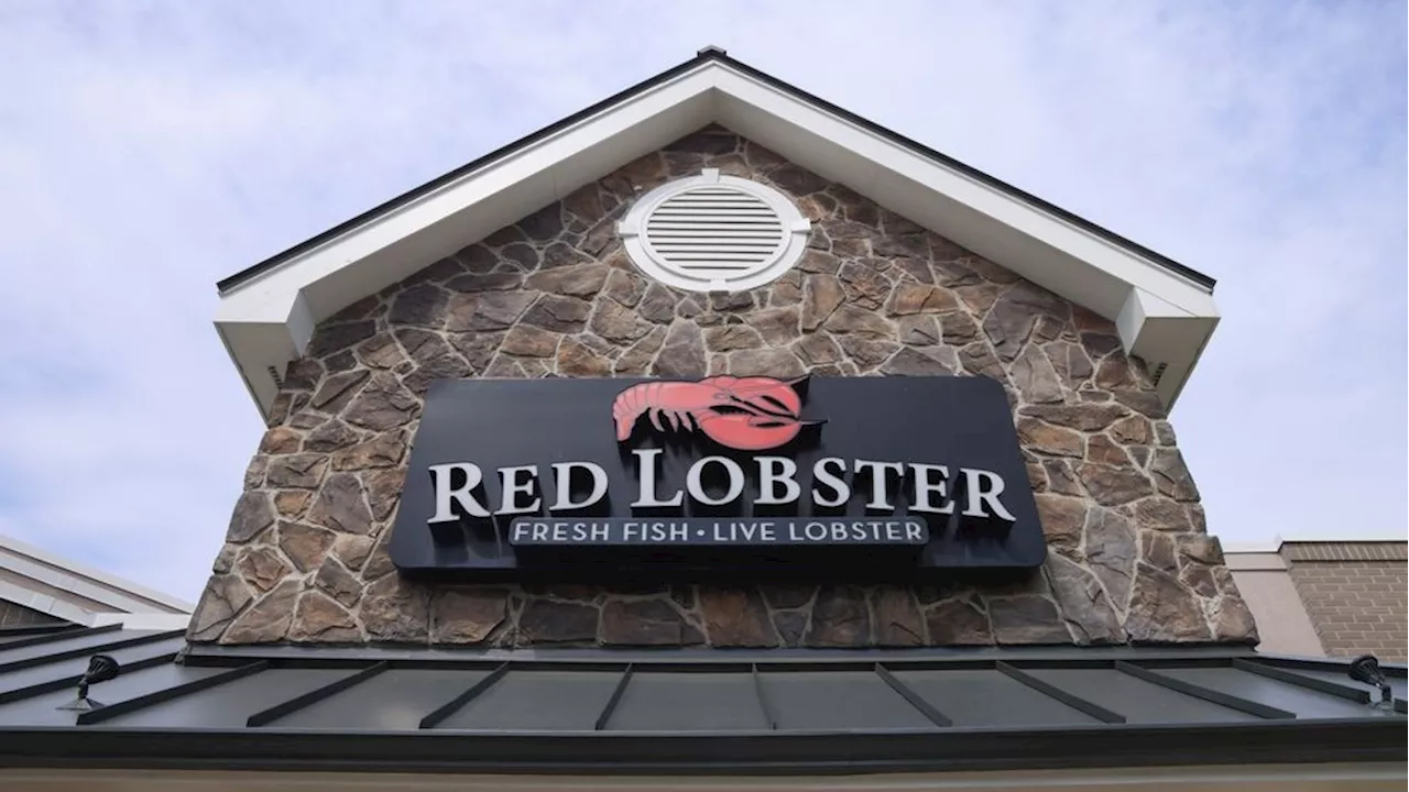 Red Lobster now 'stronger, more resilient' after exiting Chapter 11 bankruptcy protection