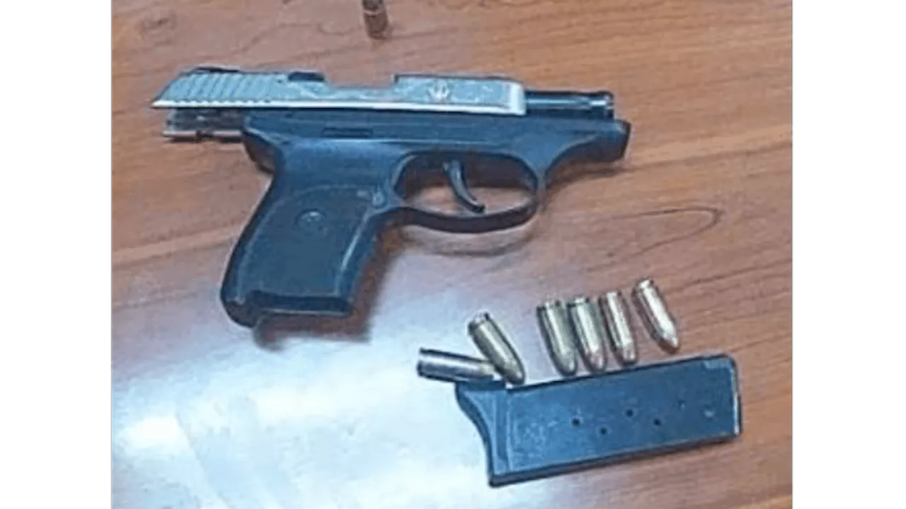 Rochester police: Illegal gun found as officers break up early morning party