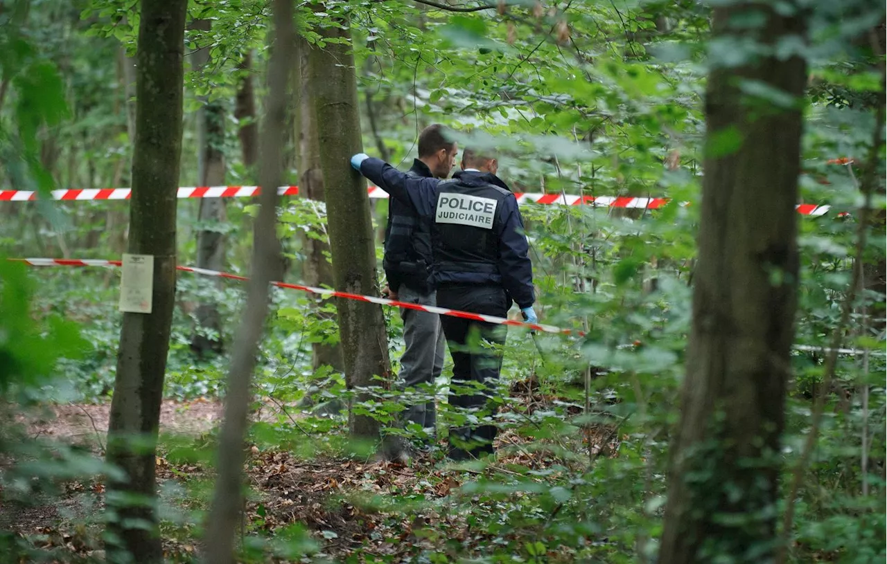 Deux joggeuses découvrent une jambe humaine dans un parc à Aulnay-sous-Bois