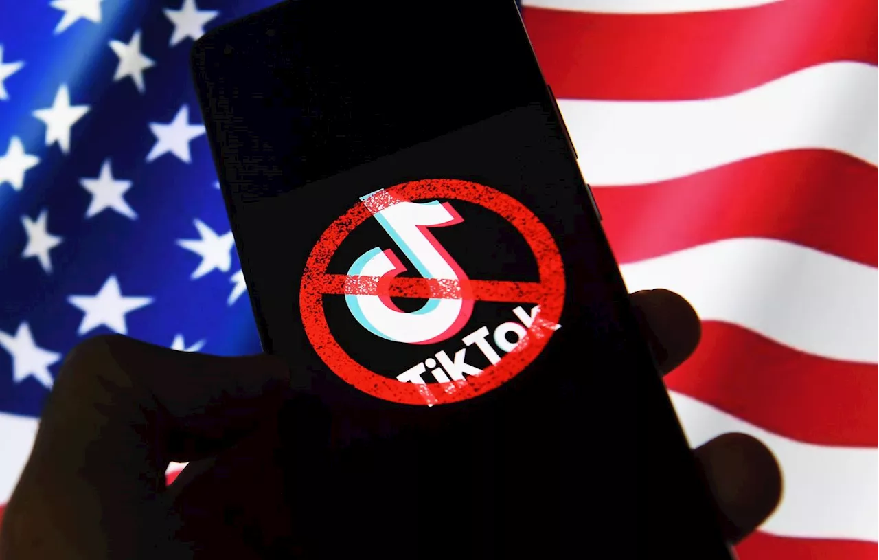 TikTok tente de contester devant un tribunal américain l'interdiction de son activité aux États-Unis