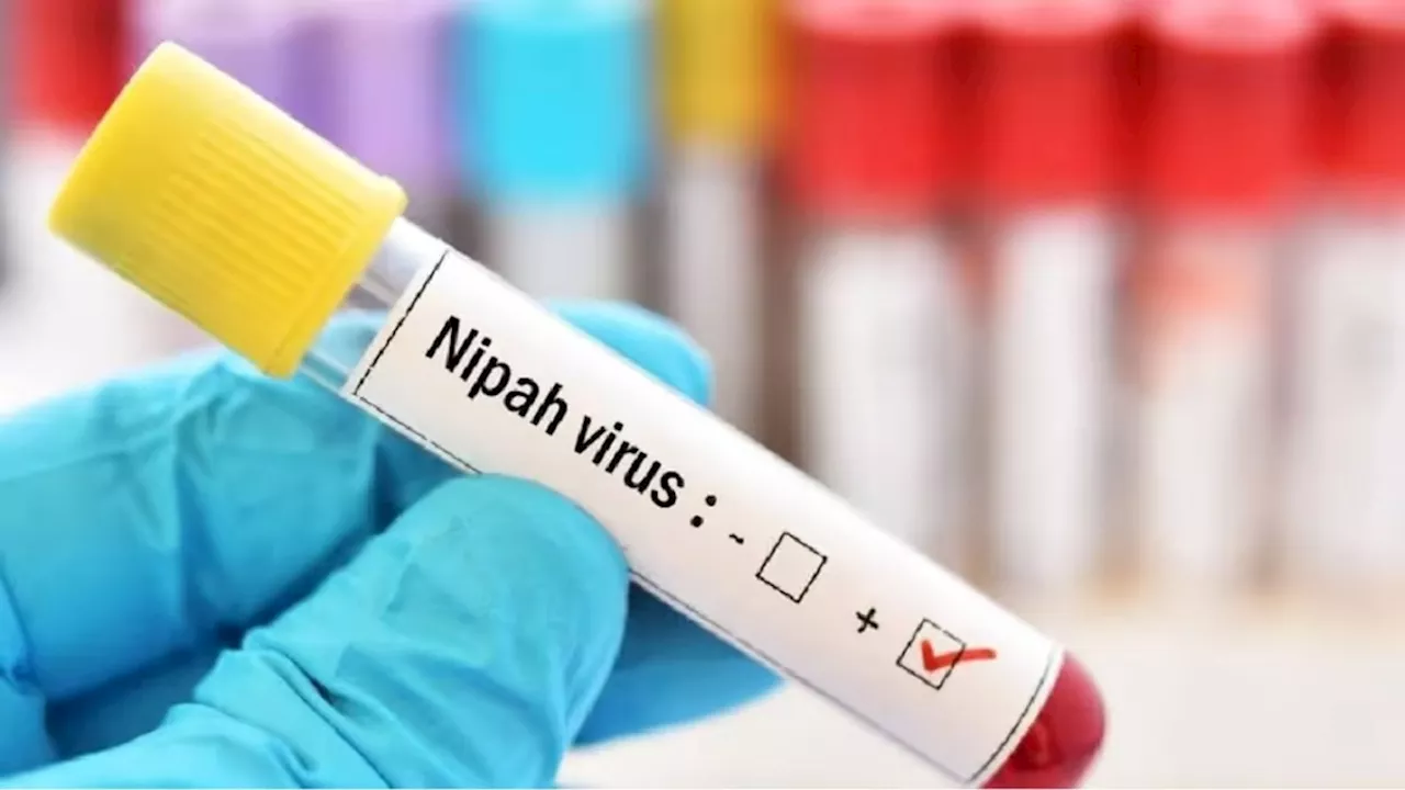 केरल में Nipah virus से मौत... जान लीजिए ये वायरस कितना खतरनाक, लक्षण और इलाज क्या है