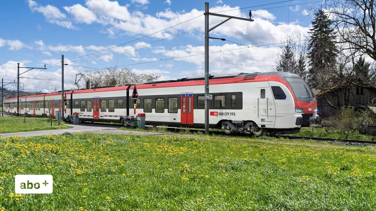 Neue SBB-Züge für das Seetal: Kritik an Länge und Kosten