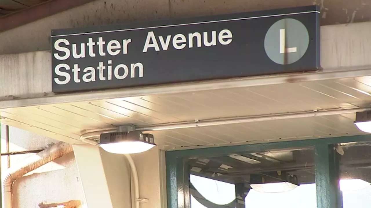 Police officer, 2 innocent bystanders shot at Brooklyn subway station